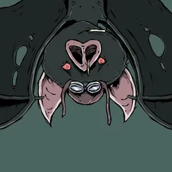 46