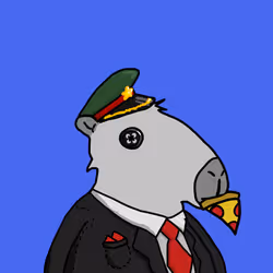 51