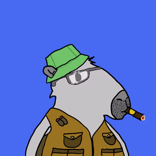 43