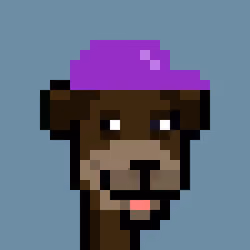 Dog 1369