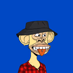 2428