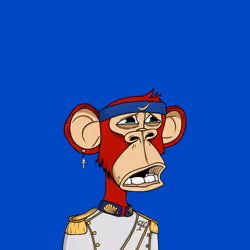 4584