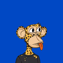 5035