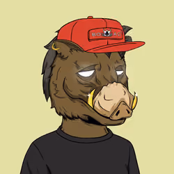 BOAR CLUB #9947