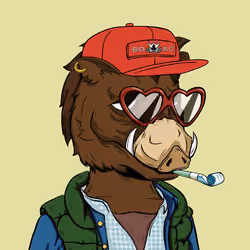 BOAR CLUB #519