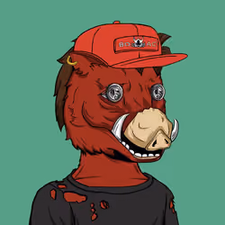 BOAR CLUB #9309