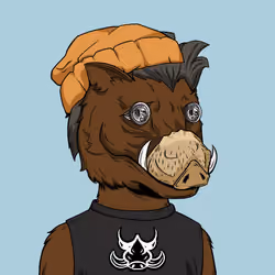 BOAR CLUB #6875