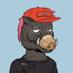 BOAR CLUB #8414