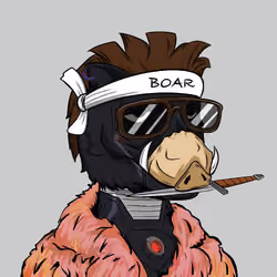 BOAR CLUB #8466