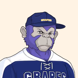 grapes #4843