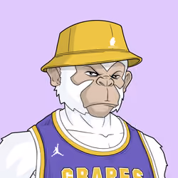 grapes #1783
