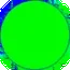 655
