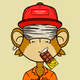 5194
