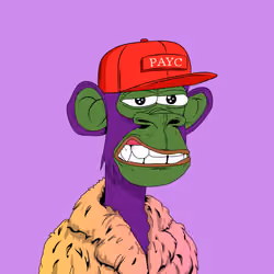 2023