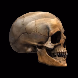 GraveX #1053