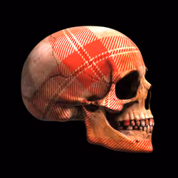 GraveX #2334