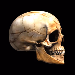 GraveX #2938