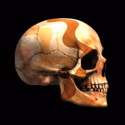 GraveX #2986