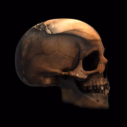 GraveX #3774