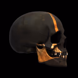 GraveX #2450