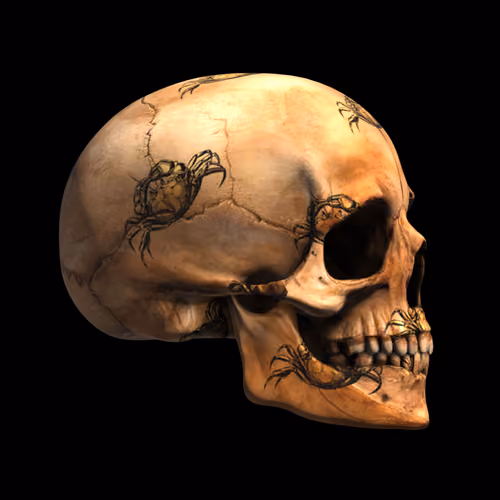 GraveX #6768