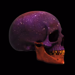 383
