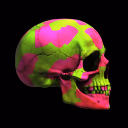 2591