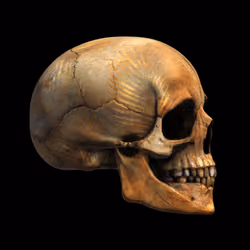 6848
