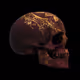 1659