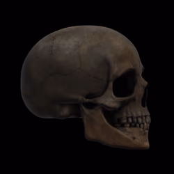 GraveX #4232