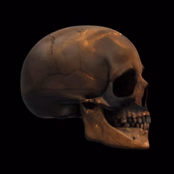 GraveX #5183
