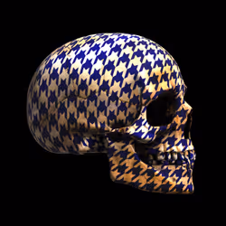 6733