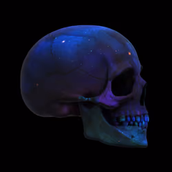 6851