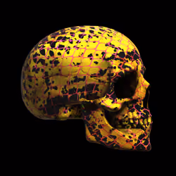 GraveX #3780