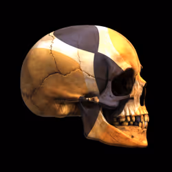 3021