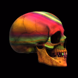 GraveX #2252