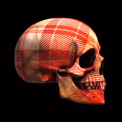 GraveX #2982