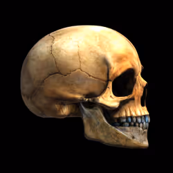 GraveX #2924