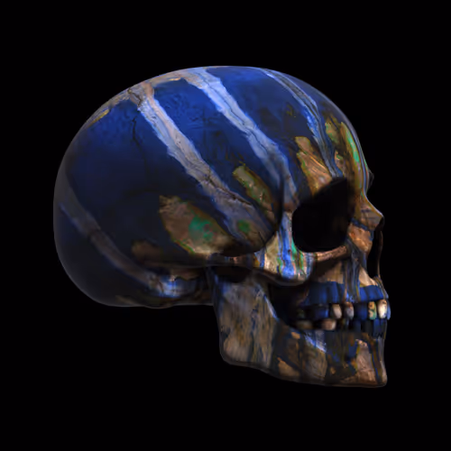 GraveX #1295
