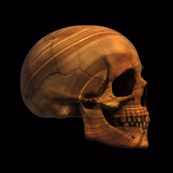 GraveX #2439
