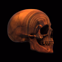 5064