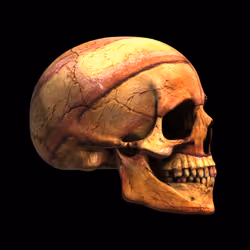 4748