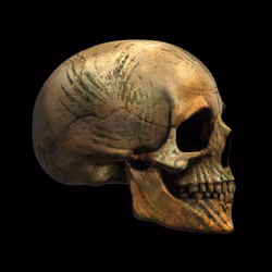 4566