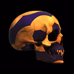 GraveX #2927