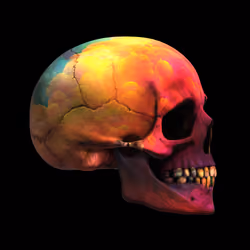 GraveX #5496