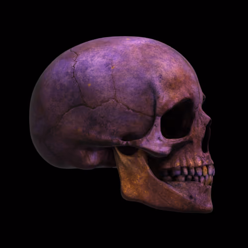 GraveX #6801