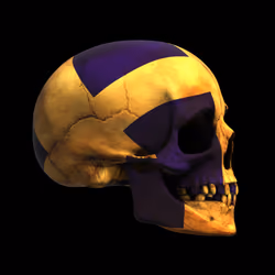 GraveX #5394