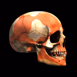 6314