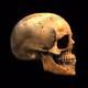 769
