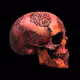 1653